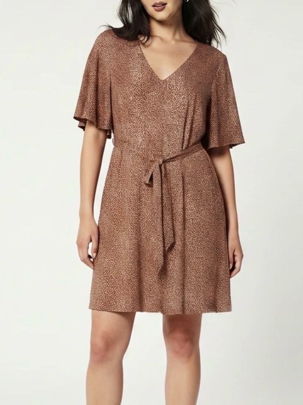 A New Day Giraffe Print Animal Short Sleeve Dress